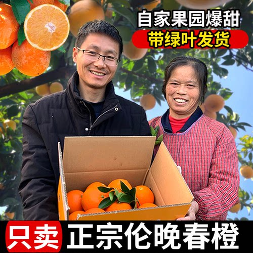 正宗现摘新鲜伦晚脐橙甜橙子9斤