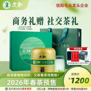 春茶预售文新信阳毛尖绿茶茶叶2026新茶明前悟道60g 4罐送礼盒