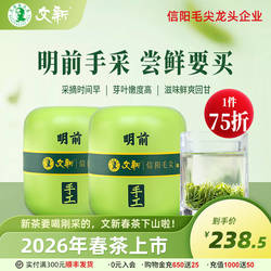 春茶上市文新信阳毛尖绿茶2026新茶茶叶明前特级嫩芽头采75g*2罐