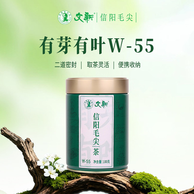 文新信阳毛尖有芽有叶