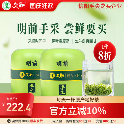 文新信阳毛尖明前头采