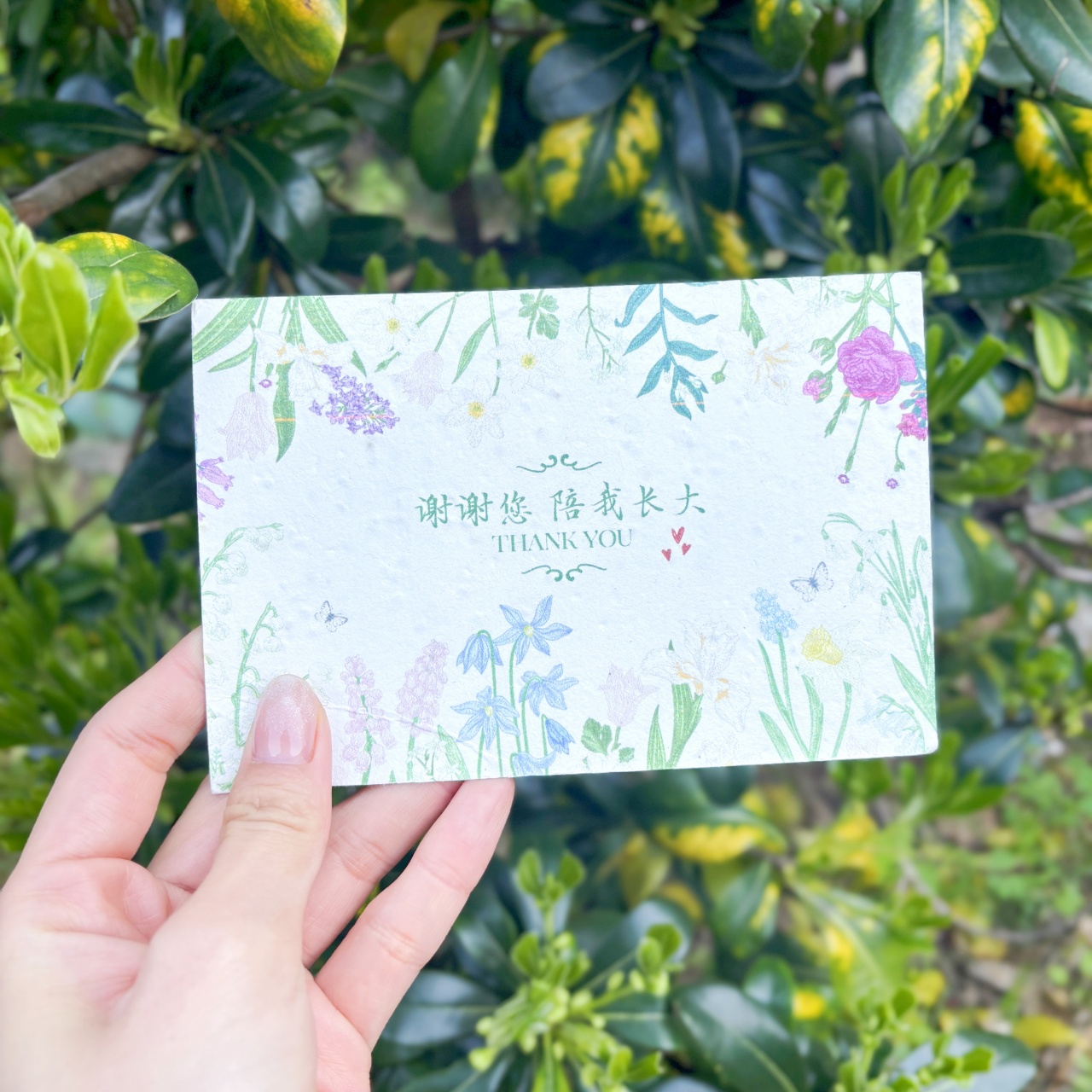 品牌感谢卡种子纸 明信片定制环保发芽纸感谢信加印logo来图定制