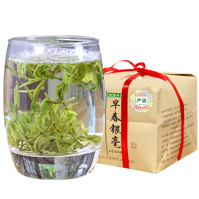 云南明前早春普洱绿茶银毫250g