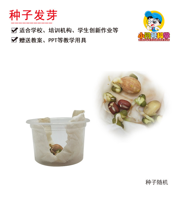 y3种子发芽植物生长幼小初科学实验器材小问号益智diy自制教具