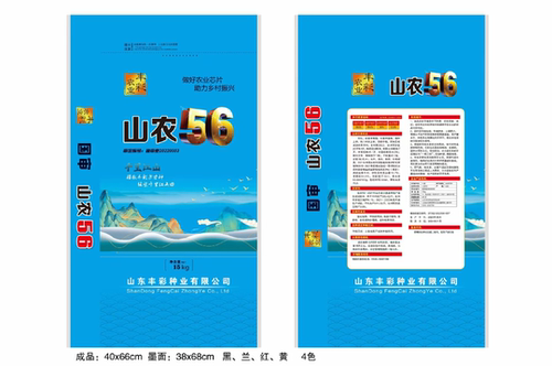 山农56小麦种新国审抗病抗倒早熟产量高