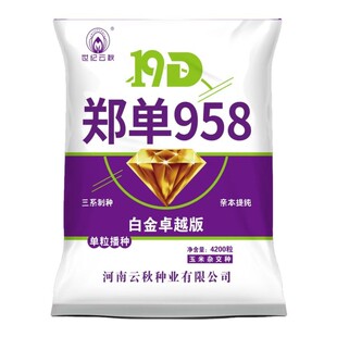 郑单958玉米种三系提纯制种国审稳产玉米种子