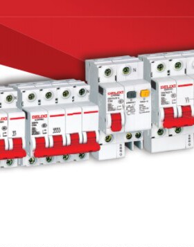 德力西DELIXI DZ47S-2P C3AC6AC10AC20AC25AC32AC40AC63A