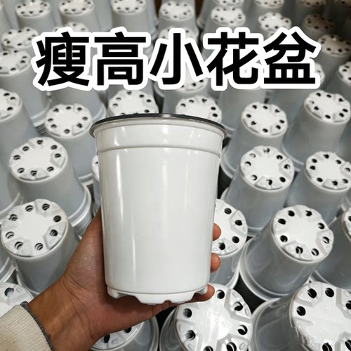 育苗盘双色盆10厘米扦插假植盆