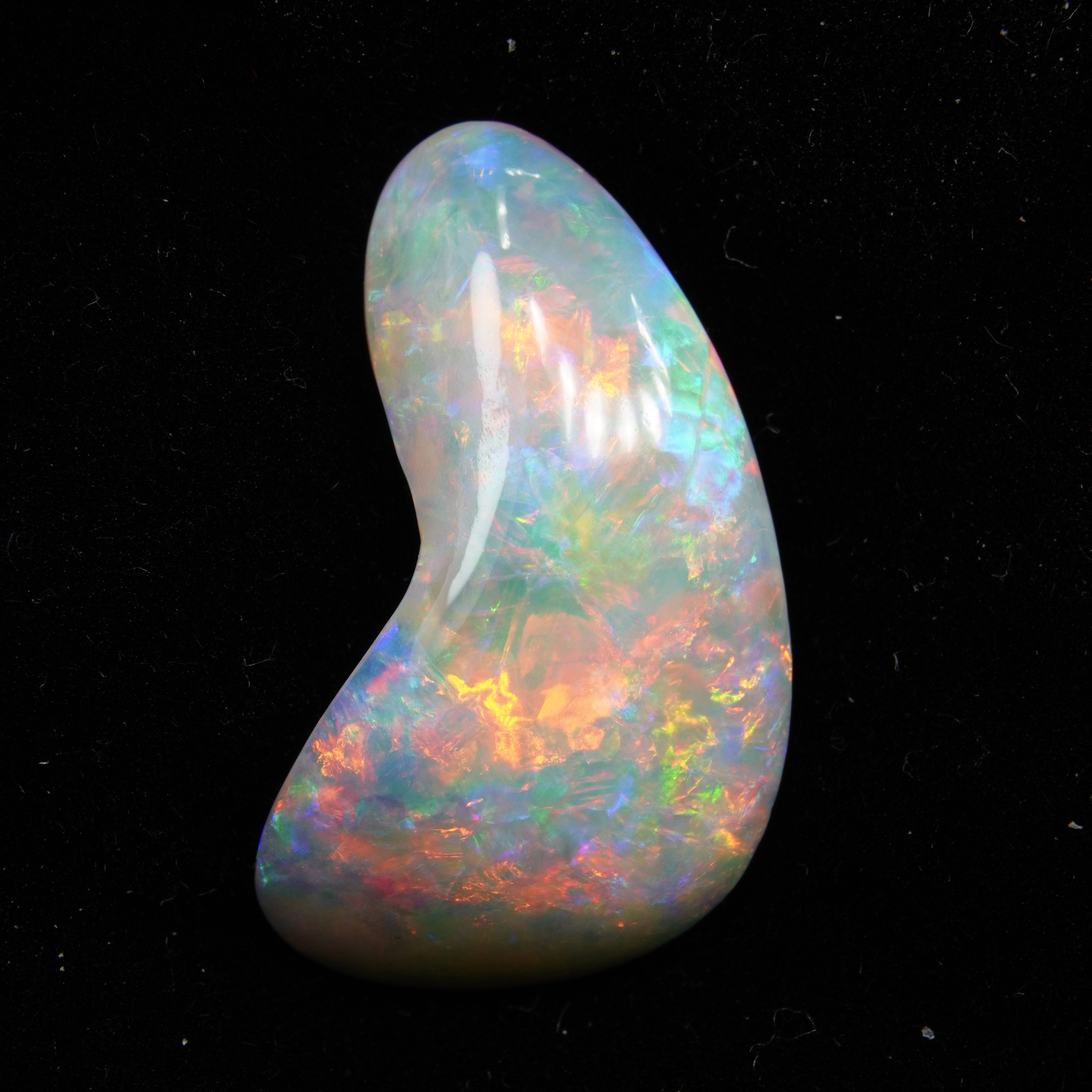 澳大利亚贝壳化石水晶欧泊吊坠戒指耳钉手链裸石