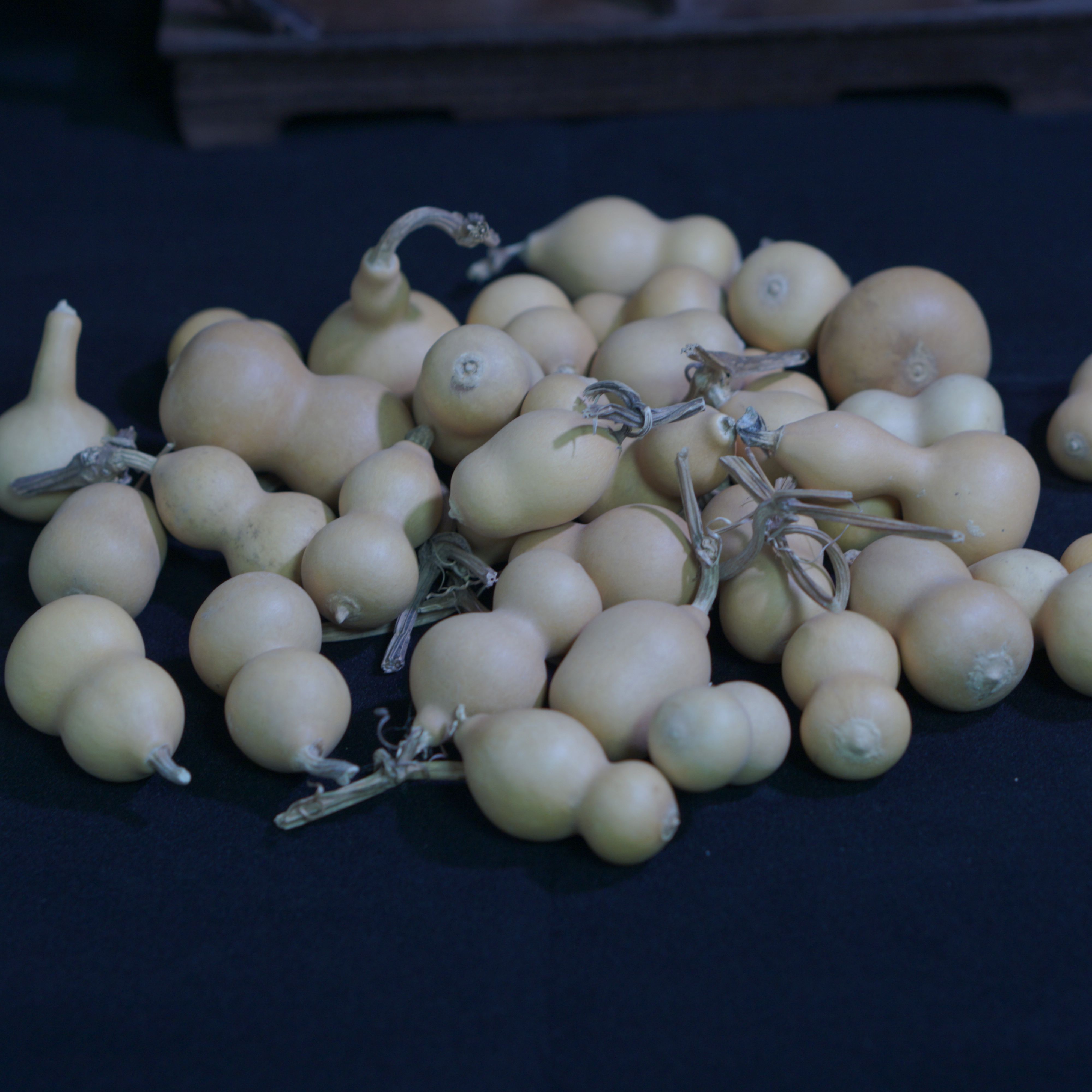 十二年老店手捻葫芦瑕疵处理无龙头天然文玩把件摆件挂件异形葫芦