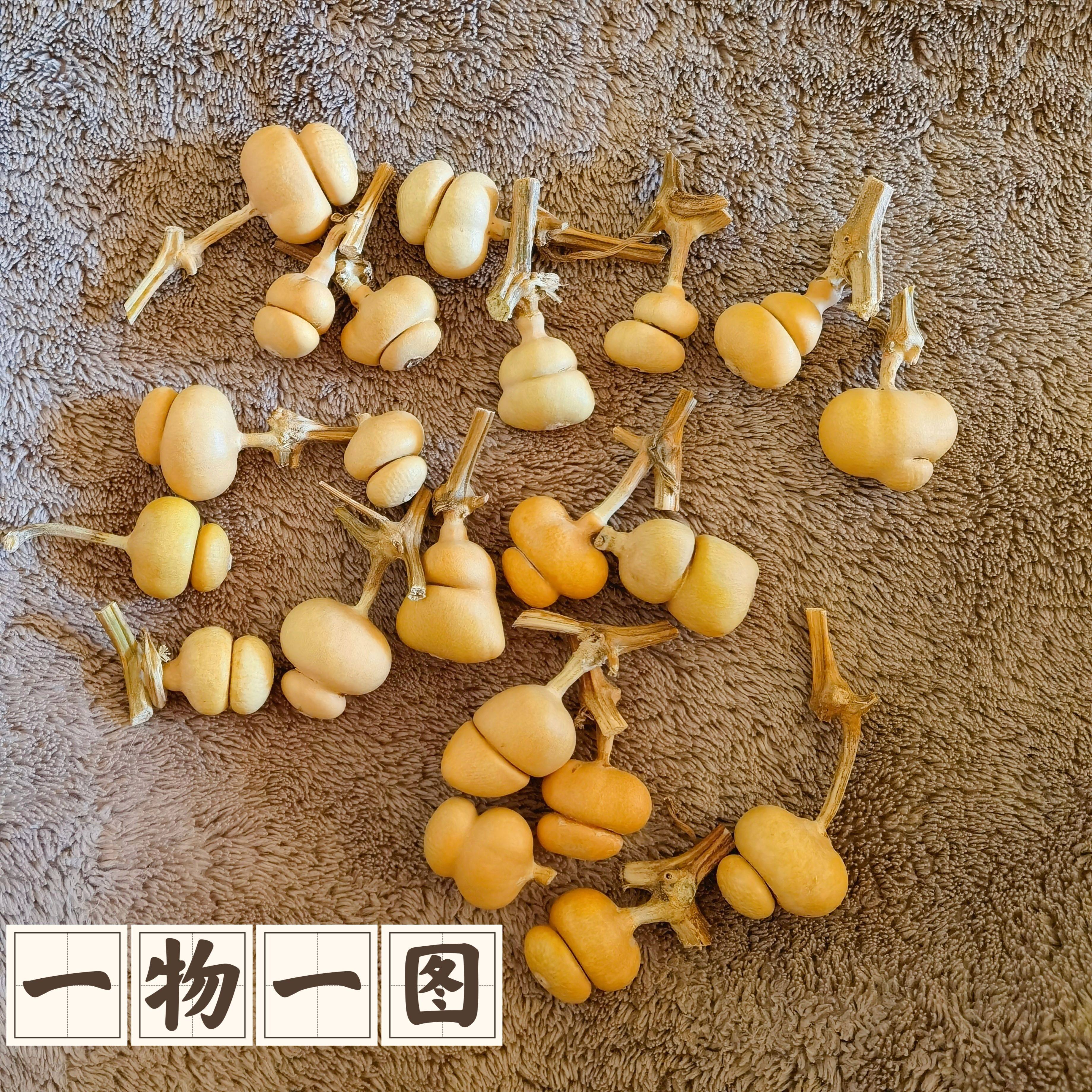 一物一图迷你草里金特小钱袋葫芦指尖文玩手捻精品手串熊脸葫芦