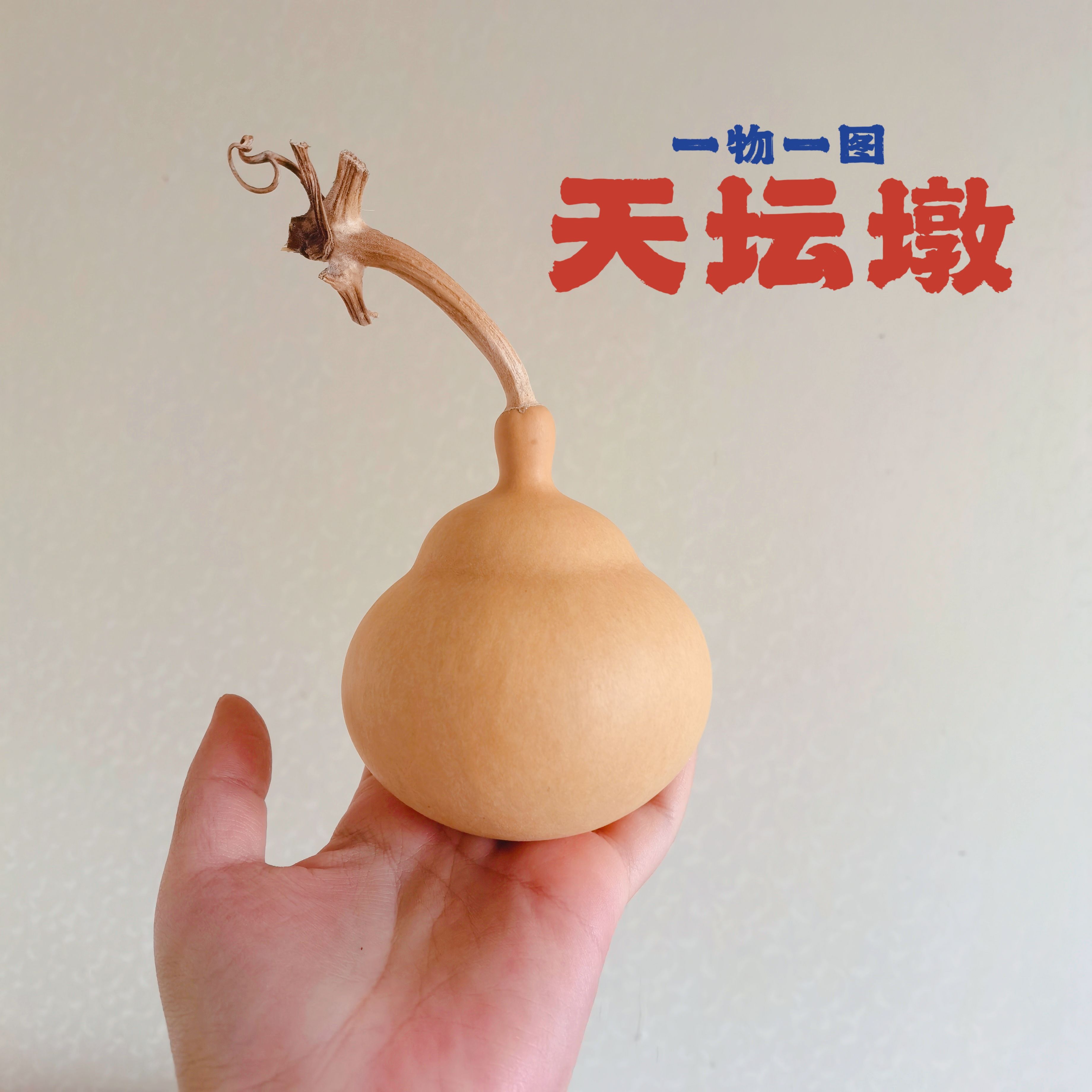 一物一图小红书同款天坛墩葫芦胖墩八宝文玩弥勒墩盘玩家居摆件