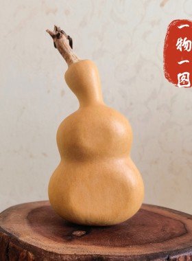 一物一图夹扁葫芦异形葫芦八宝葫芦把件带龙头天然小葫芦文玩厚扁