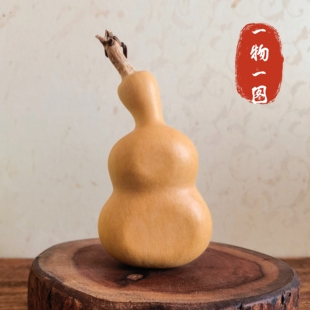 一物一图夹扁葫芦异形葫芦八宝葫芦把件带龙头天然小葫芦文玩厚扁