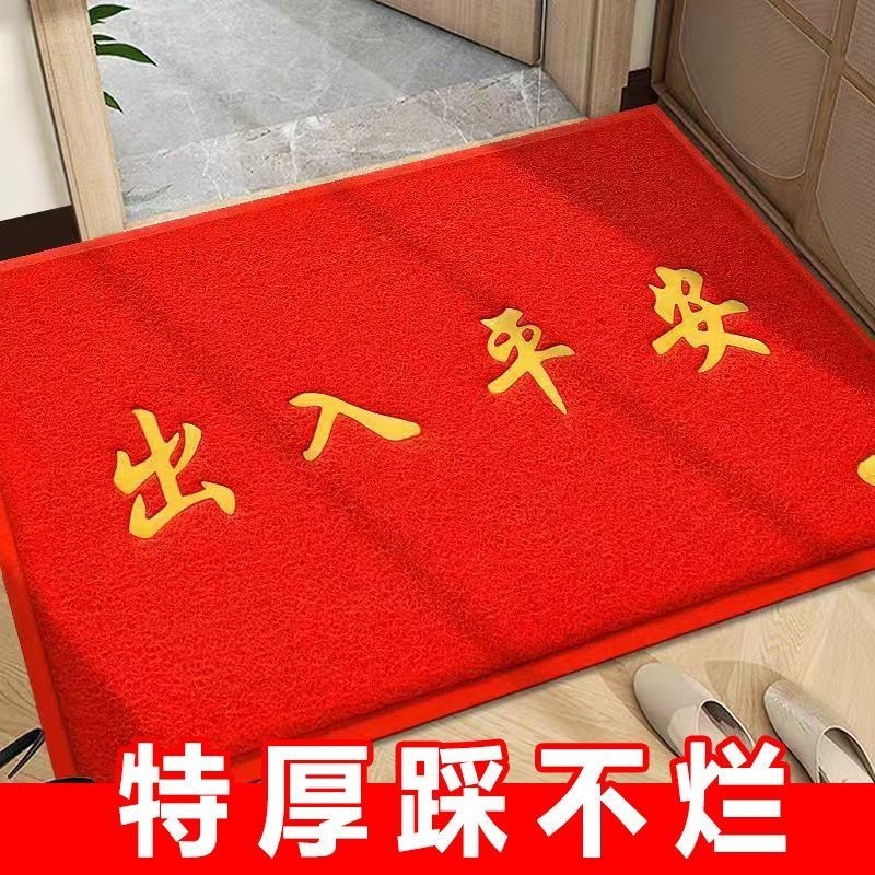 入户地垫丝圈耐磨脚垫子商用地毯