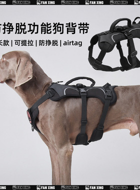 New dog leash anti slip reflective dog harness explosion-pr