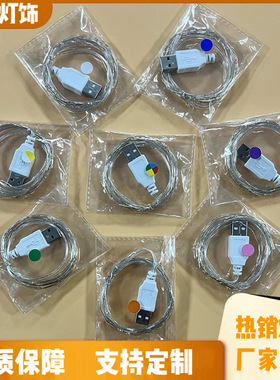 Wholesale USB copper string lights, holiday lights, Christm