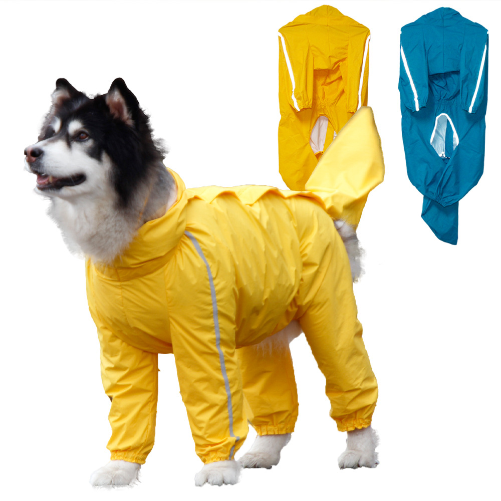 Pet It All Inclusive Big Dog Raincoat border collie Golden