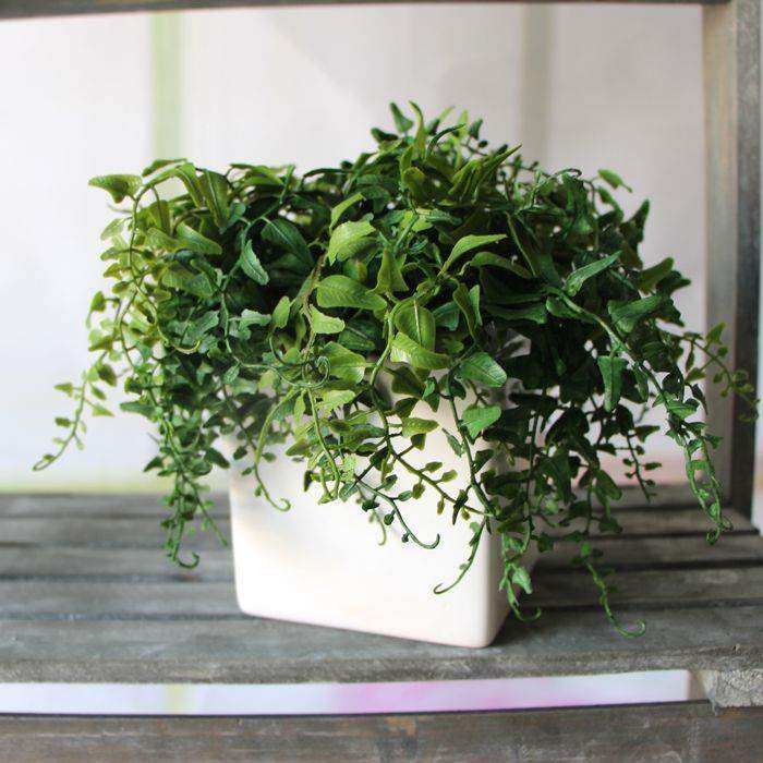 Fresh Melon Seeds Fern Fake Plant Artificial FLoral Leaves Fin the Home Daily , Smart home products  category - from Buy2taobao.com to provide professional Taobao agent buy service