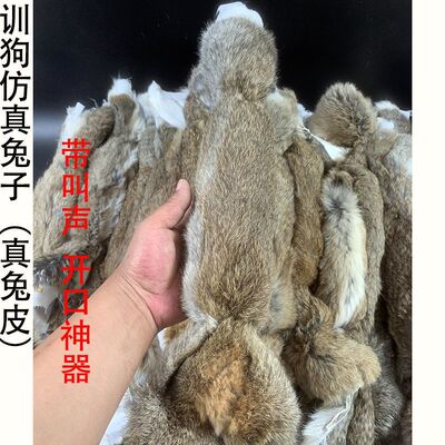 Manufacturer's spot wholesale dog training simulation rabbi