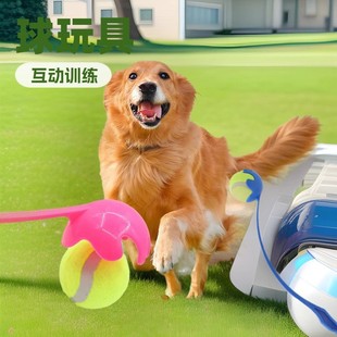Dog Training Tennis Throwing Outdoor Rod Thrower Pet Toy