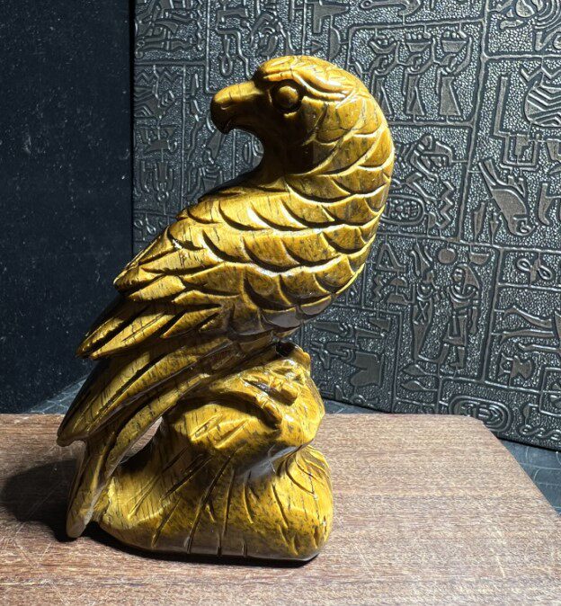 천연 노란색 호랑이 눈 돌 앵무새는 영웅적이고 특별합니다