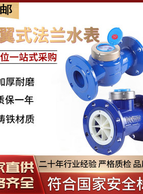 铸铁法兰水表 旋翼式螺翼式可拆式湿式干式冷水表DN50/65/80/100