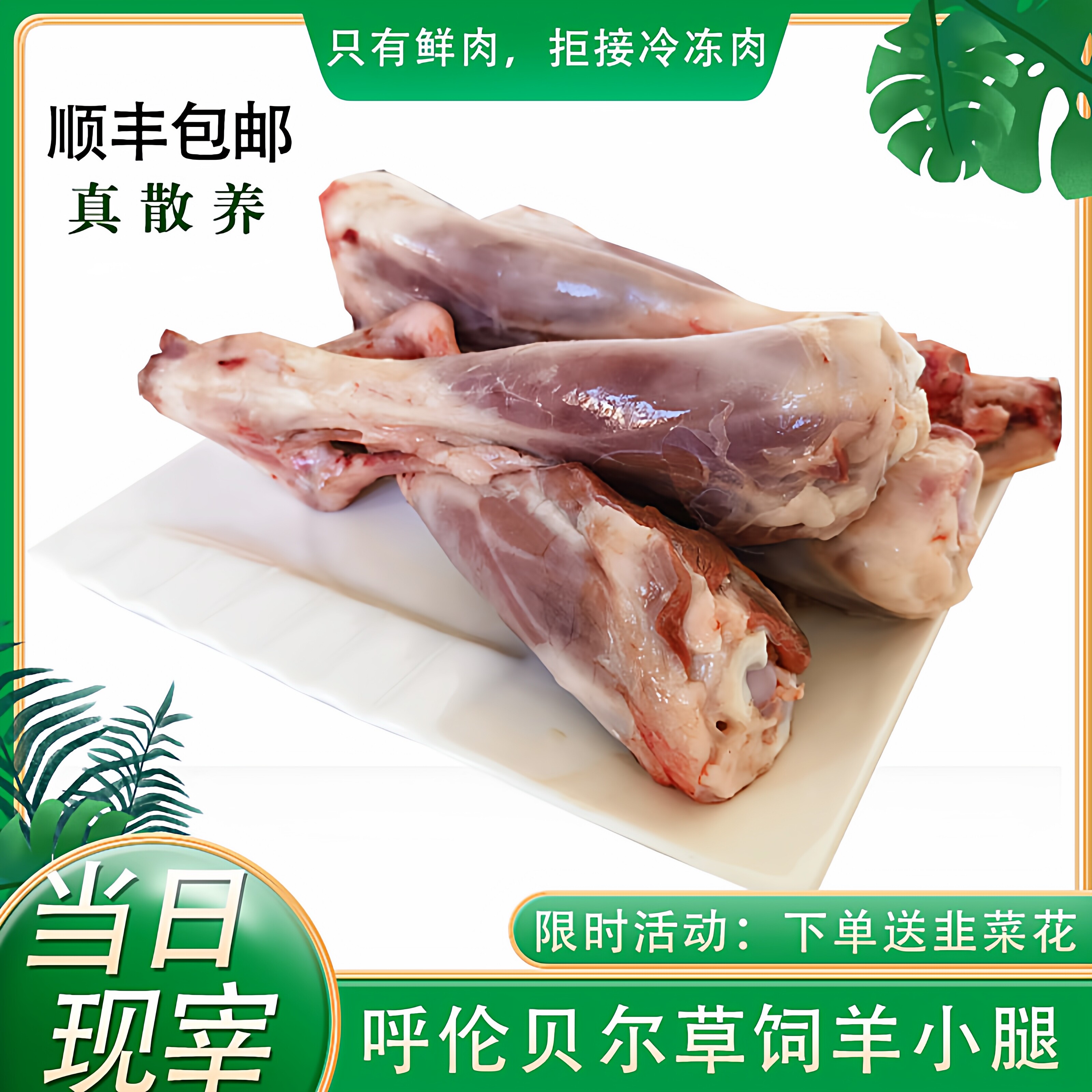 内蒙古呼伦贝尔草原羔羊小腿新鲜现杀顺丰包邮生羊腿肉5斤