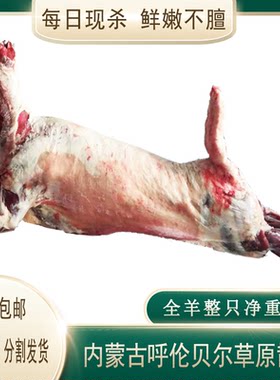 内蒙古呼伦贝尔草原散养现杀整全羊分割羊腿羊排羊腿顺丰包邮33斤