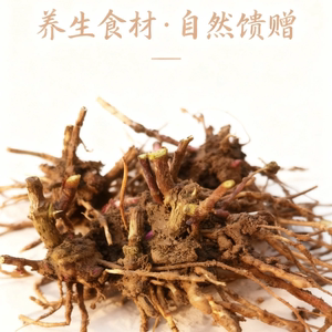 豫东特产伤力草伤力草根现挖现发纯根茎补气强身中草药河南商丘