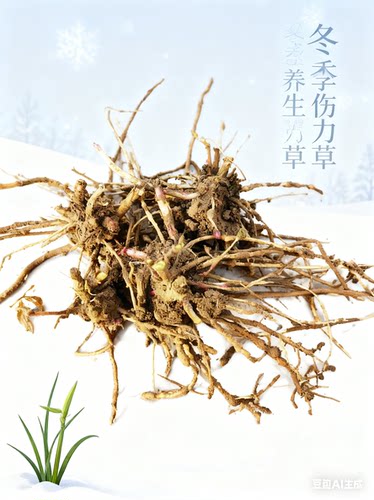 伤力草商丘天然中成药强身健体新鲜伤力草损伤伤力草苗端午节楼顶