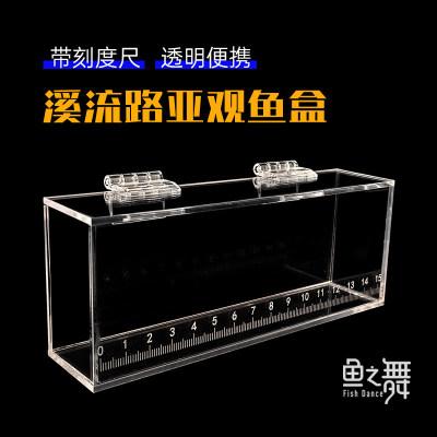 溪流观察盒鱼之舞路亚观鱼盒激光带刻度野采小物钓白条量鱼长度