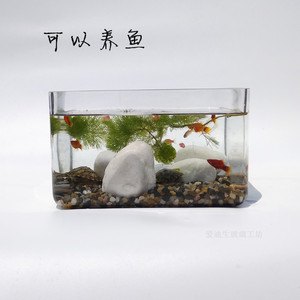 出口矮款方形玻璃鱼缸超白玻璃乌龟缸龟盆办公客厅桌面鱼缸无粘接