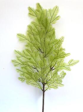 仿真绿植水杉落羽杉热带植物假杉树杉科红杉叶拍摄背景装饰销售