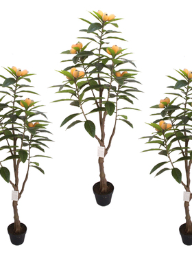 仿真植物盆栽枇杷水果