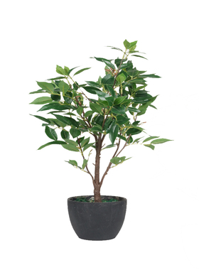 新品仿真植物窄基红叶橄榄田园