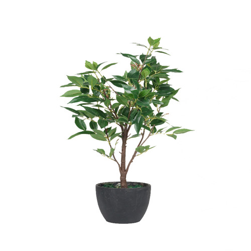 新品仿真植物窄基红叶橄榄田园