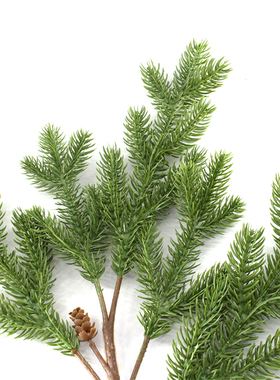 仿真植物假杉树叶巴山冷叶