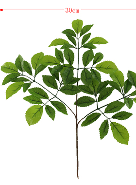仿真绿植榆树叶绿植富贵叶灯台叶女儿叶搭配屏风装饰摆设直销