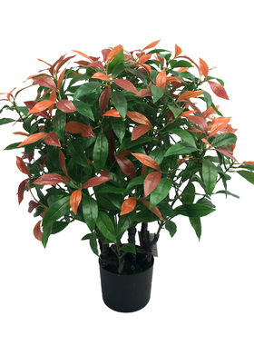 仿真植物盆栽红叶楠木