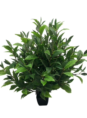 新仿真茶花假树叶落地盆栽盆景毛尖茶叶红茶绿茶DIY装饰摆设直销