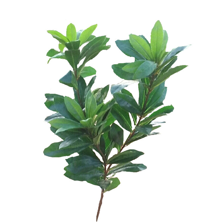 新品仿真植物杨梅叶枝假树叶灌木叶杜鹃叶四季大型绿植装饰直销