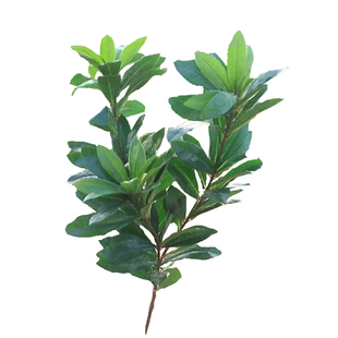 新品仿真植物杨梅叶枝假树叶灌木叶杜鹃叶四季大型绿植装饰直销