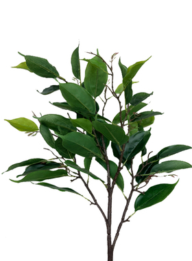 新品仿真植物大梅枝香樟树叶灌木