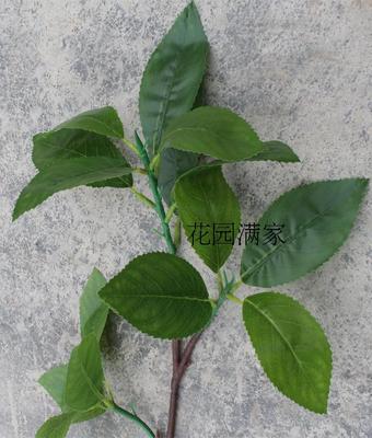 新品仿真树叶木荷叶三叉枝山茶科植物墙DIY背景屏风工程装饰