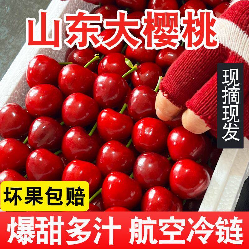 【现摘现发】顺丰山东烟台红灯大樱桃国产车厘子当季水果大果新鲜