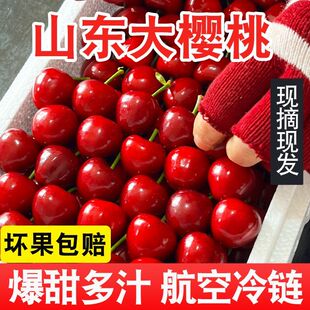 【现摘现发】顺丰山东烟台红灯大樱桃国产车厘子当季水果大果新鲜