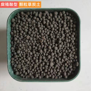 兰花多肉颗粒泥炭圆粒草炭土颗粒缓释肥泥炭球腐殖酸有机肥料包邮