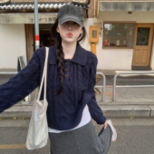 秋冬韩系miu系软糯学院风宽松麻花polo领加厚毛衣针织衫 打底内搭