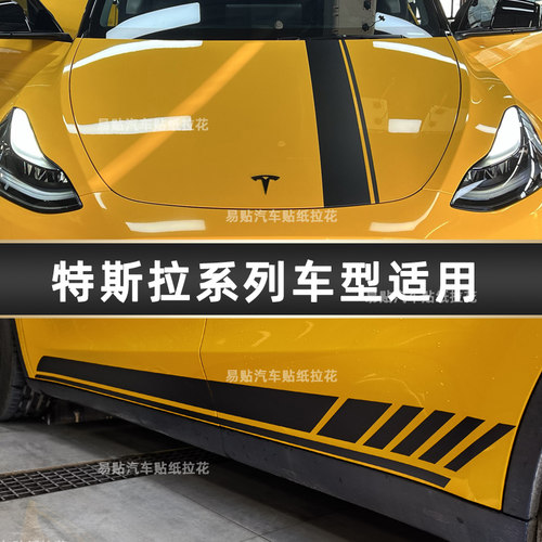 特斯拉拉花MODEL3车贴